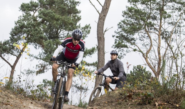 Door de Schadijkse Bossen loopt de 19 kilometer lange mtb-route De Schaak. Foto: Staatsbosbeheer.