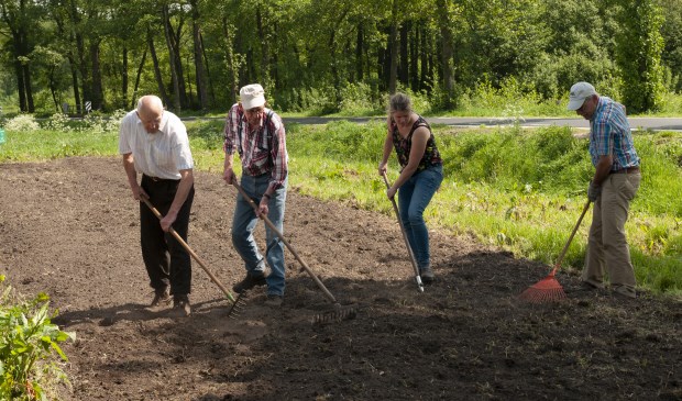 Het bijenbloemenzaad wordt ingezaaid bij de boerenschans.