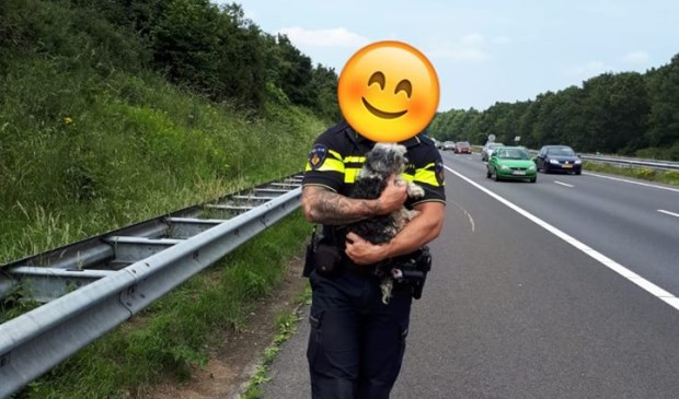 Een politieman, die anoniem wil blijven, wist het hondje te vangen. Foto: Facebook Politie Horst