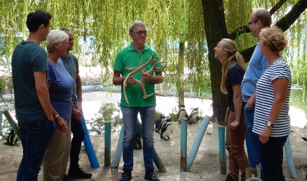 Vrijwilliger Sander de Koning aan het werk in ZooParc Overloon.