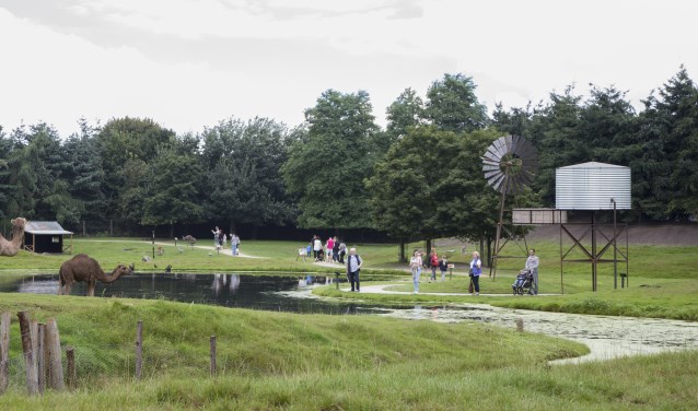 Inbraak in dierentuin Overloon - .