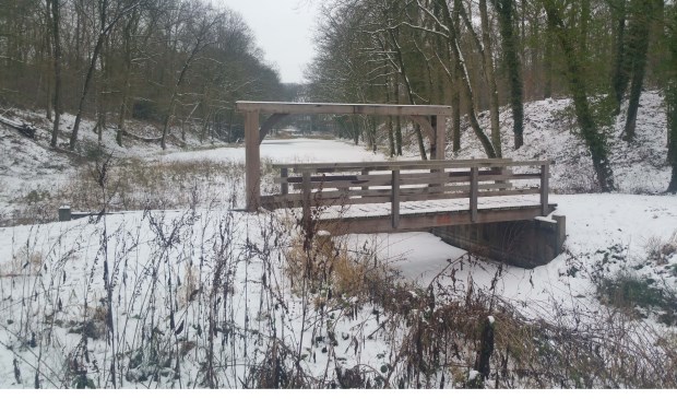 Zondag 24 maart zet IVN Geijsteren-Venray een wandeling op touw in het natuurgebied Fossa Eugeniana.