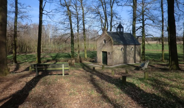 Natuurgebied Het Broek tussen Wanssum en Meerlo.