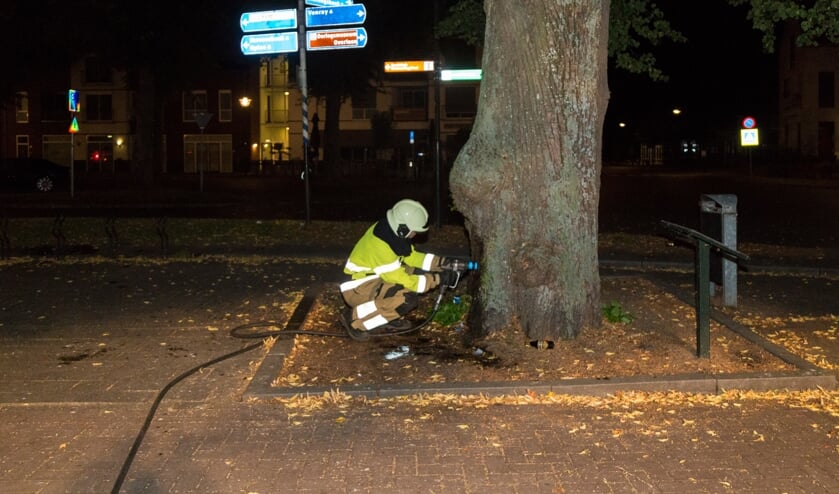 De brandweer wist de brand in de boom te blussen.