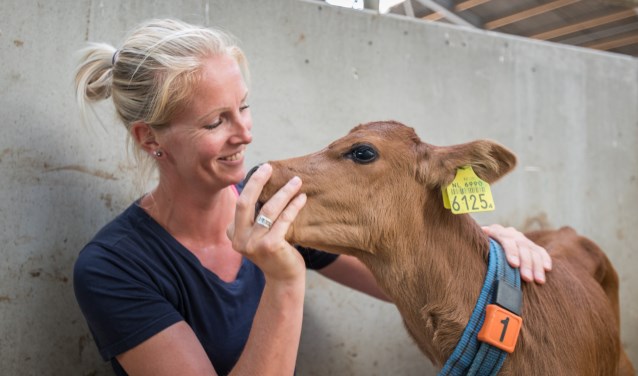 Janneke Breen knuffelt kalfje IZA 13. Foto: Wim van Vossen