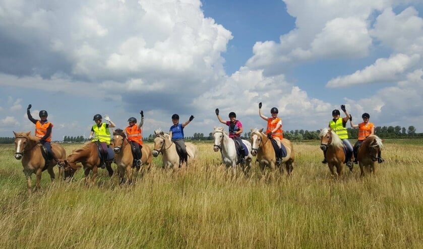 In de zomervakantie weer zes weken ruiterkamp bij Manege Oostmoer! (foto: Rowena Koster)