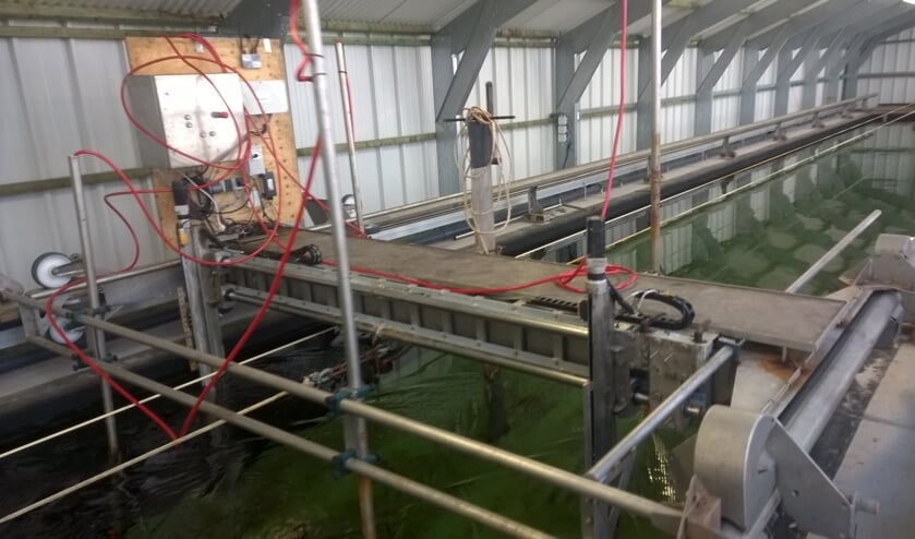 Even een trek in de waterbak van het Innovatiecentrum