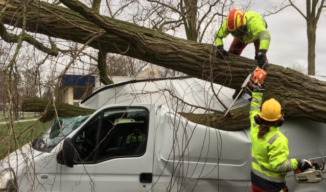 Op de Kornetstraat in Uden werd een auto door een boom getroffen | Fotonummer: e74378