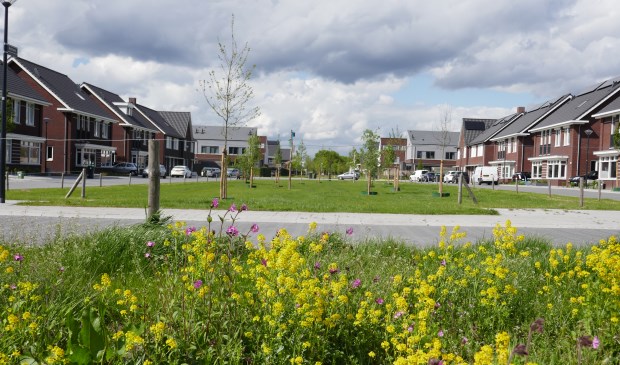 Op en rondom dit veldje op Uden-Zuid vindt de kleedjesmarkt plaats | Fotonummer: c1f8fe