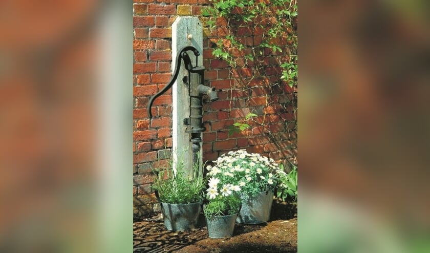Trotse tuinbezitters gezocht in Oostzaan.