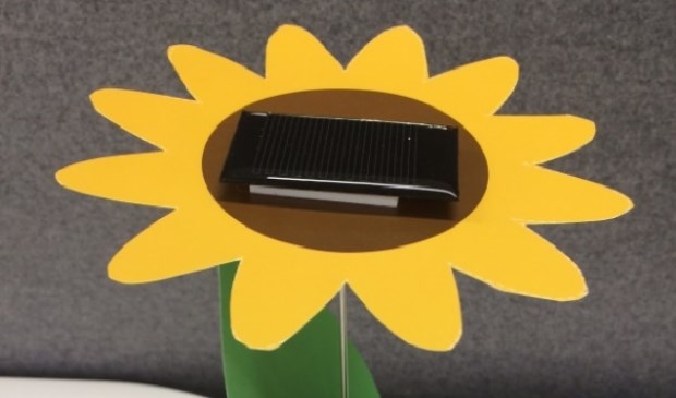 Tournesol