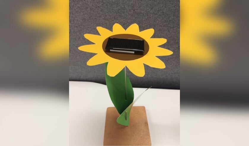 Tournesol
