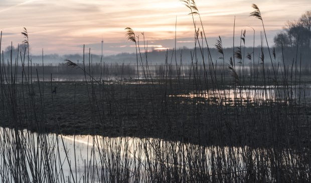 Zonsopkomst Ilperveld.