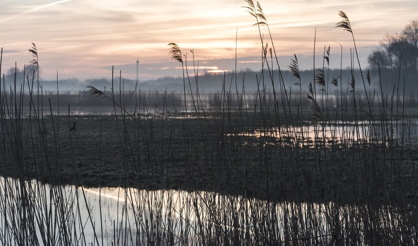 Zonsopkomst Ilperveld.