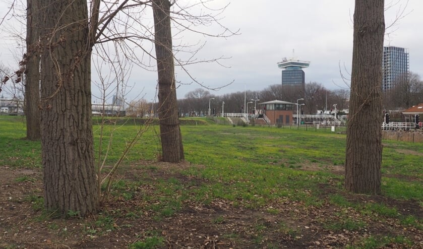 Buurthaven.