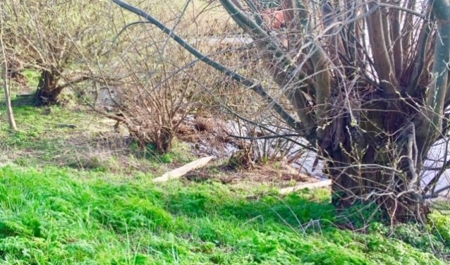 Groot afval dat werd opgeruimd door de schoonmaakploeg van Danielle
