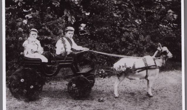 Broertjes Kernkamp en bokkenwagen