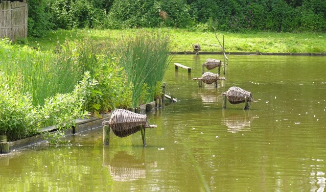 Kooiplas bij Eendenkooi 't Zand
