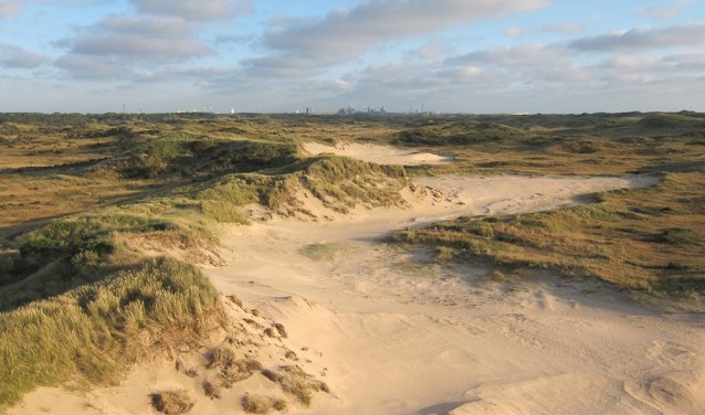 Het Lazaretduin bij Castricum is een van de gebieden waarvan de ontwikkeling sterk is beïnvloed door het Oer-IJ.