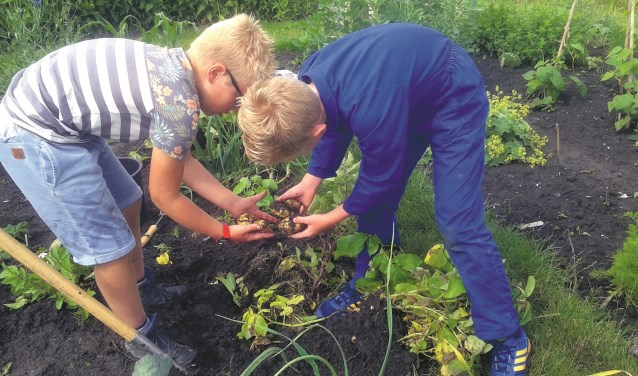 Een moestuin is leuk! Voor jong en ouder.