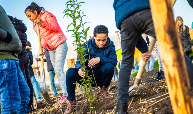 Jongen plant boom voor Tiny Forest.