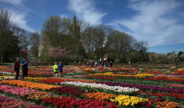4500 tulpensoorten in Hortus Bulborum