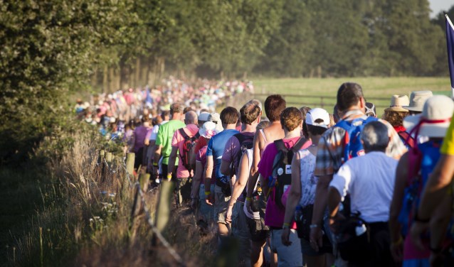 Wandelvierdaagse