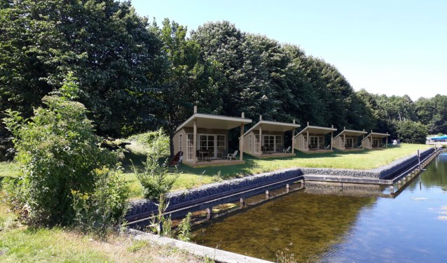 Artis Impression van de vijf te plaatsen ecolodges.
