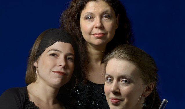 Het Miranda-trio.