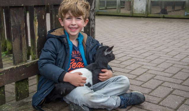 Aai gerust een geitje in De Helderse Vallei.