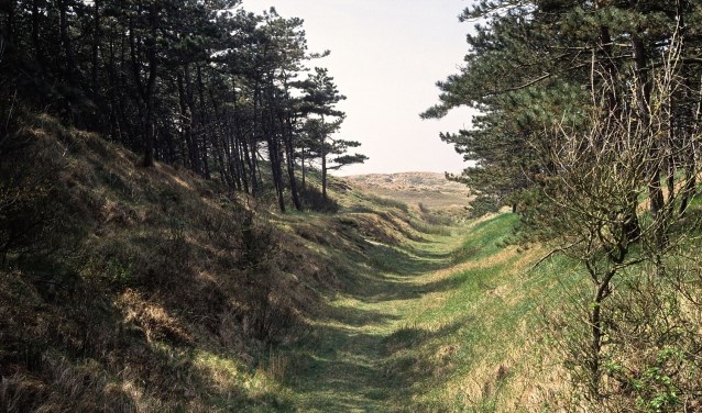 De Grafelijkheidsduinen.