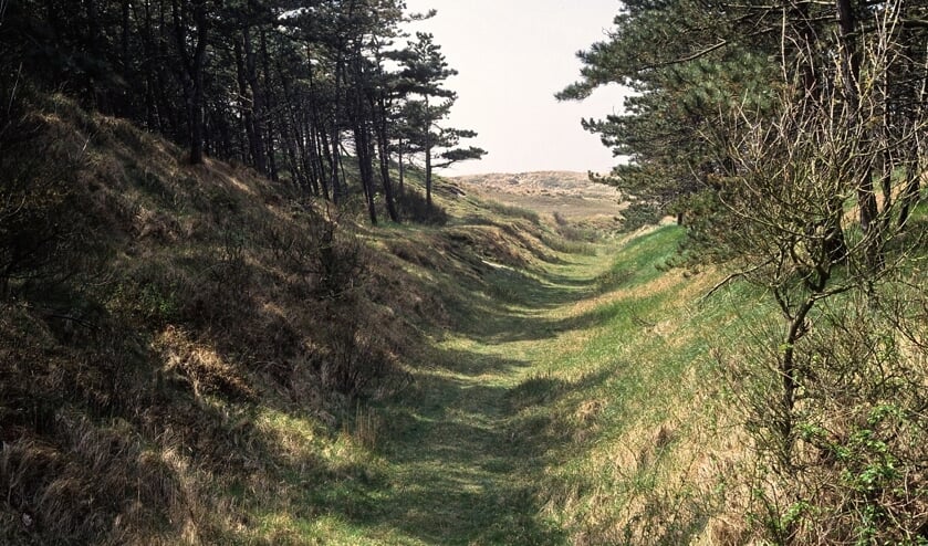 De Grafelijkheidsduinen.