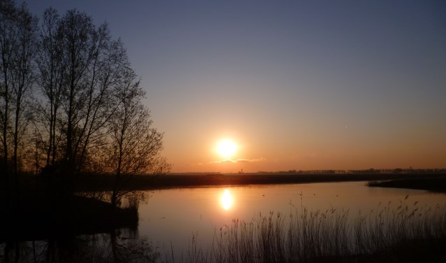 De rijzende zon.