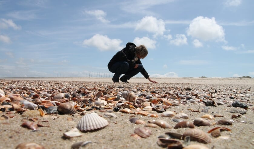 Alleen al lopen aan het strand geeft rust in het hoofd.