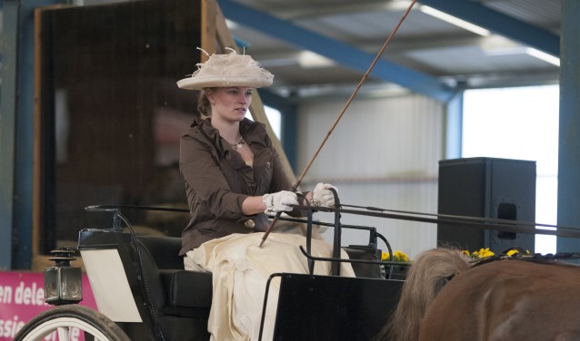 Tijdens het paardenfestijn in Benningbroek is van alle te zien en beleven. Kom ook en geniet van het spektakel.