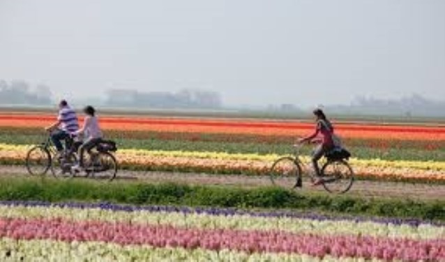 Fietstocht langs mooie plekken.