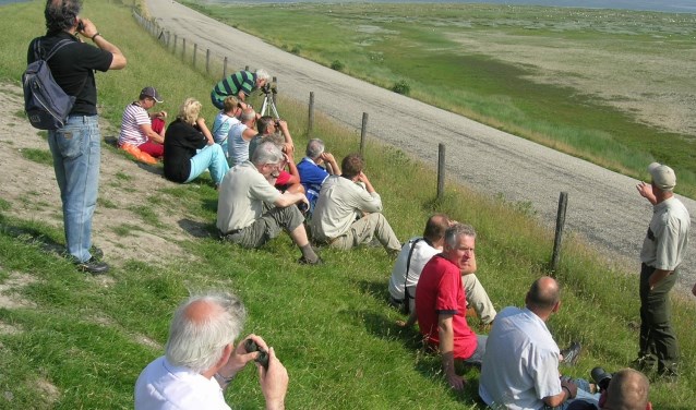 Excursie naar het Balgzand.