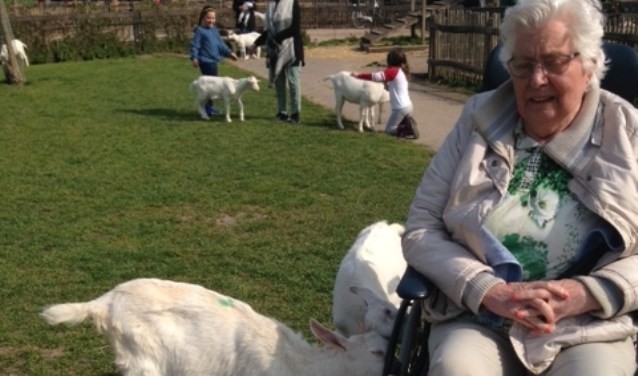 Mevrouw Knaap op de Geitenboerderij.