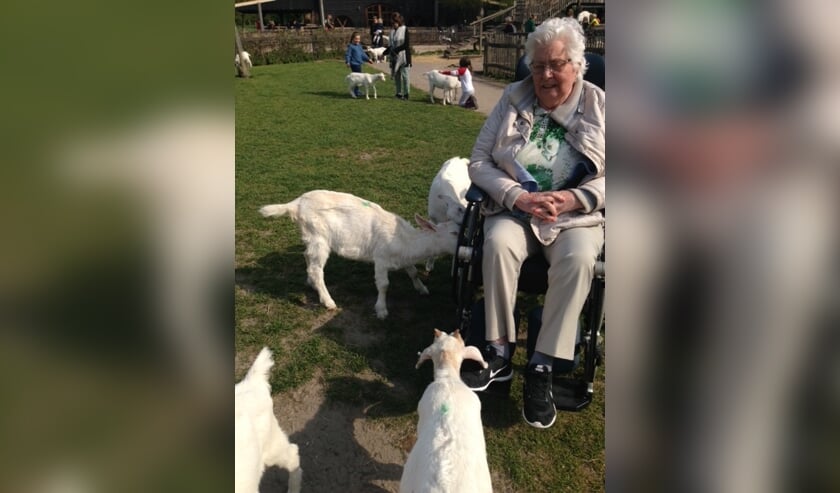 Mevrouw Knaap op de Geitenboerderij.