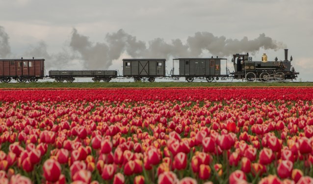 Bello door de tulpenvelden.