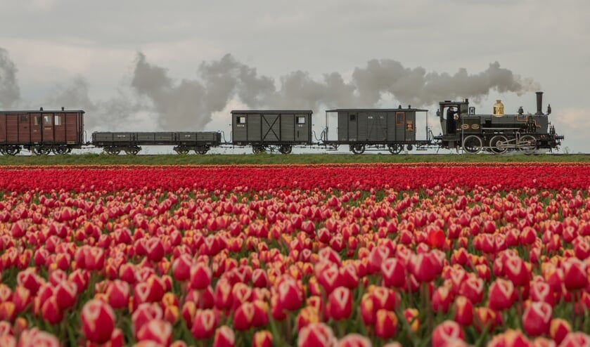 Bello door de tulpenvelden.