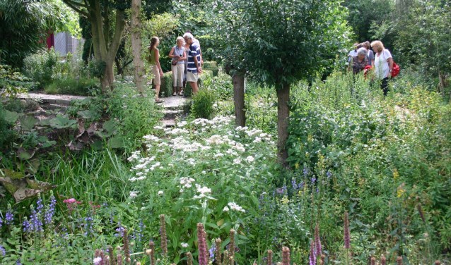 Zondagochtendwandelingen Hortus.