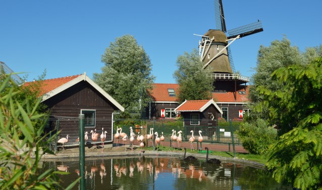 Het is feest in Van Blanckendaell Park