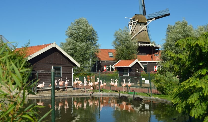Het is feest in Van Blanckendaell Park