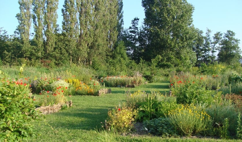 De Kloostertuin is een rijk bloeiende kruidentuin op de plek waar vroeger klooster Nieuwlicht stond.