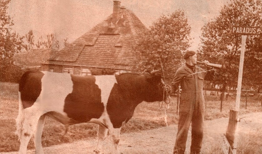 Bezoek eens de expositie over vroegere tijden in het Rundveemuseum.