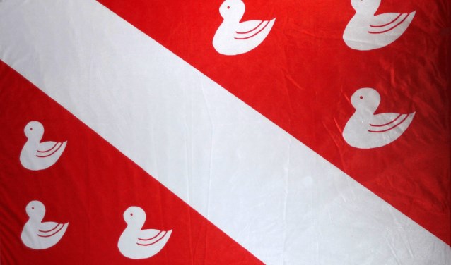 De 'geknotte merels' zijn kenmerkend voor de vlag van bergen.