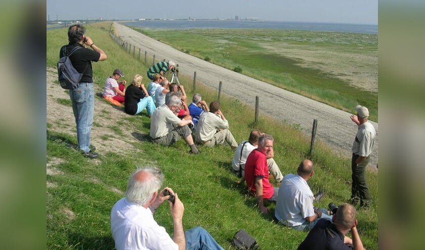 Excursie op Balgzand.
