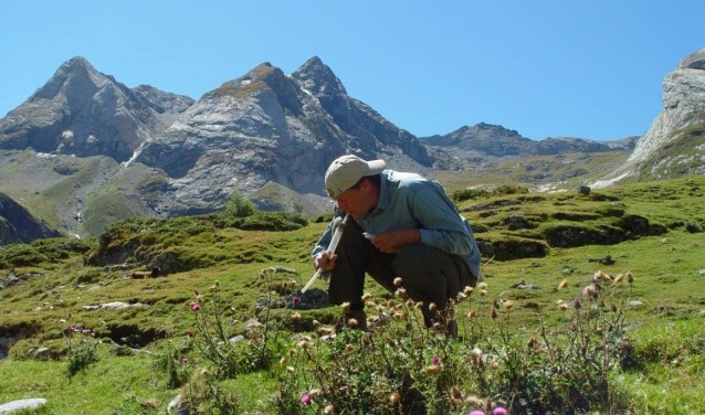 Pollinators research door Koos Biesmeijer.
