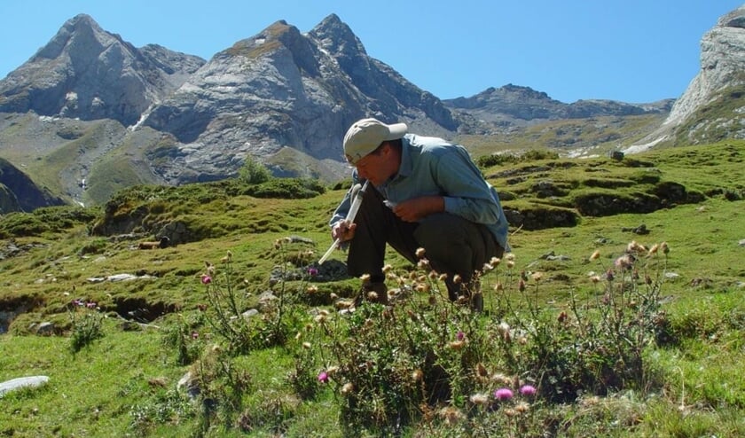 Pollinators research door Koos Biesmeijer.